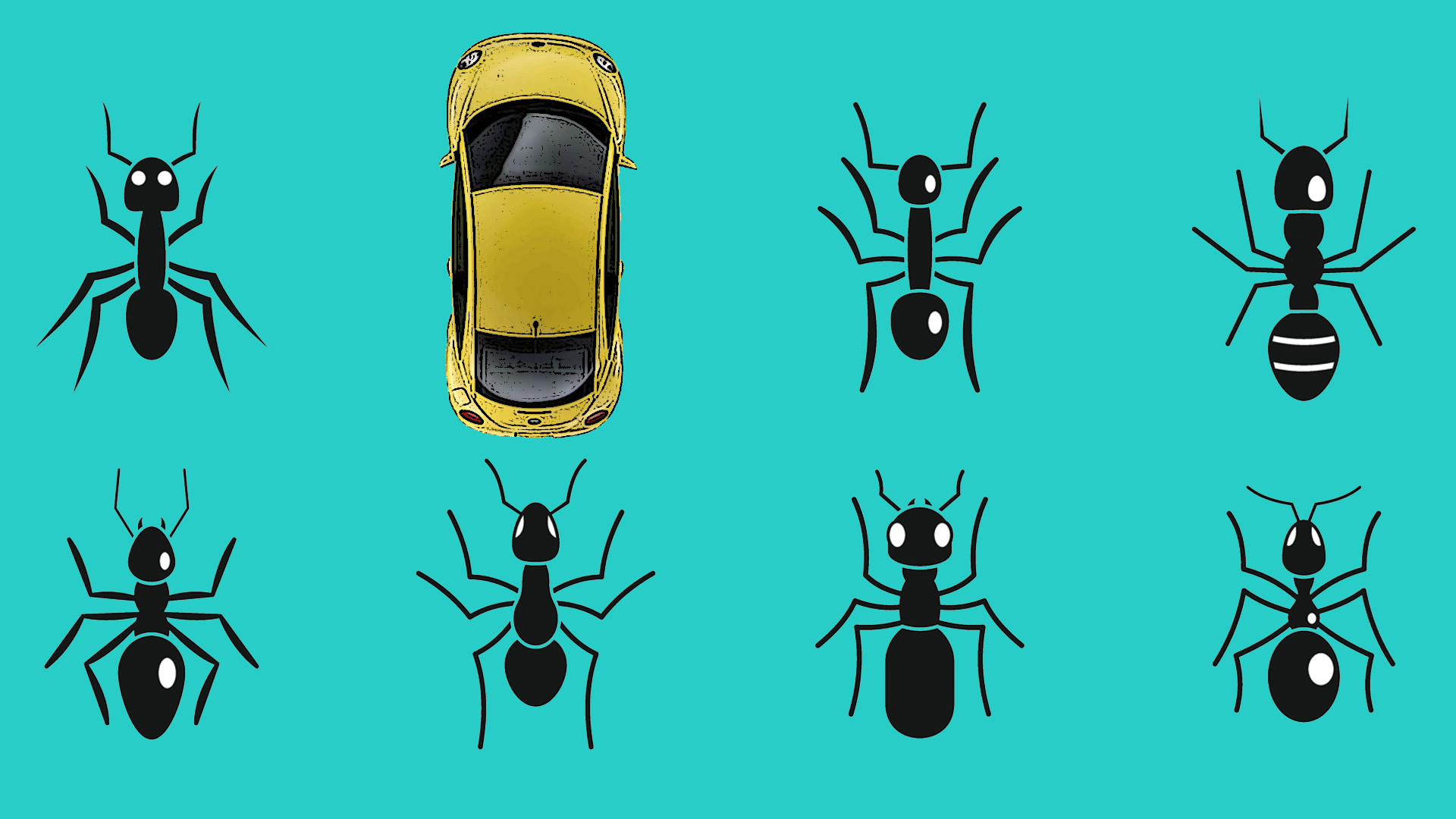 如何清除蚂蚁，蜘蛛和其他害虫从你的车
