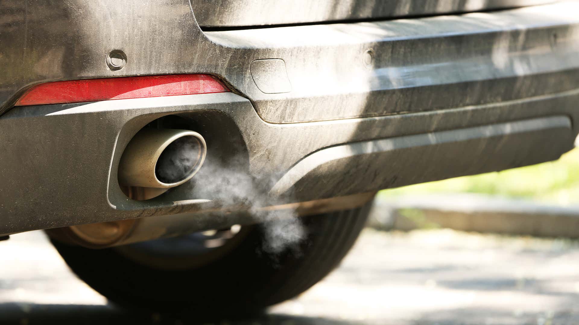 在加拿大，雾霾检查有助于确保你的汽车没有杀死蝴蝶。