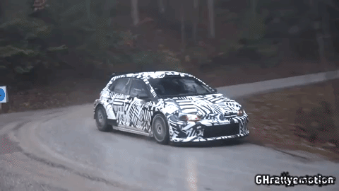 这是你的第一眼在行动的大众Polo GTI WRC车