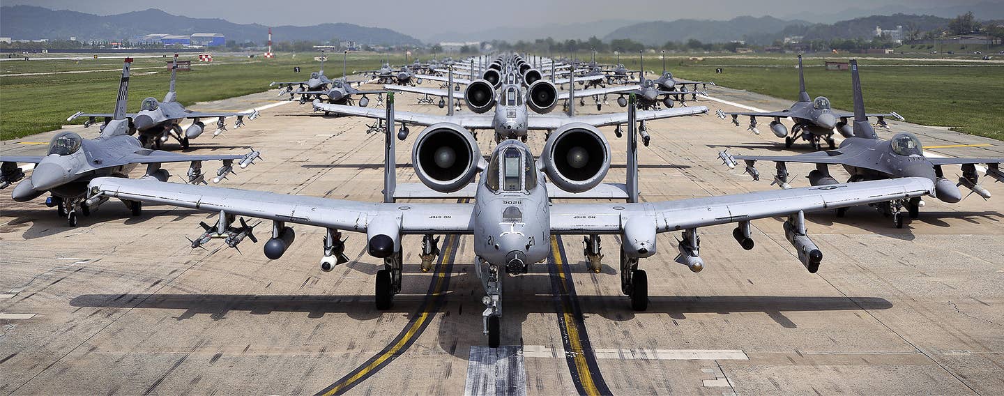 看看韩国乌山空军基地，一群疣猪和毒蛇在做“大象步”