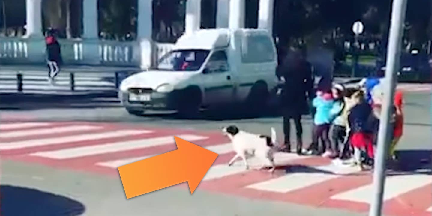 一只流浪狗叫路过的车作为孩子在格鲁吉亚试图穿过马路